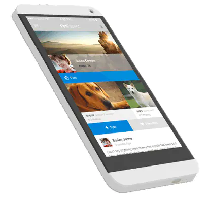 diseno-web-movil diseno web movil