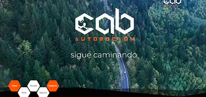 Sitio Web Sitio Web
